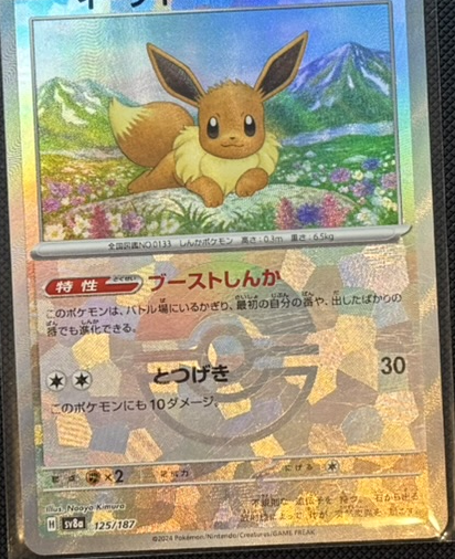 IMG_1138_card_2