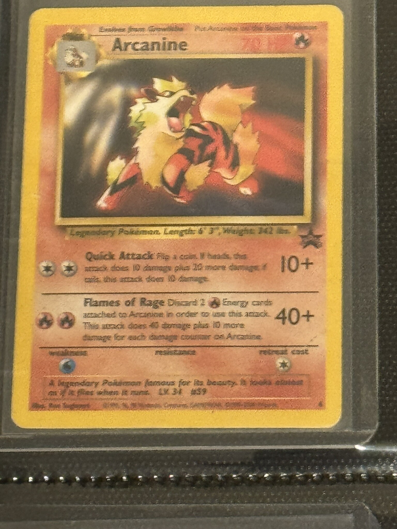 Arcanine
